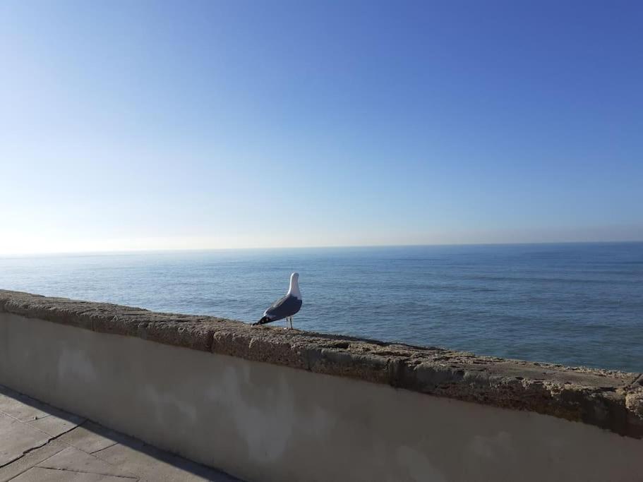 Apartmán Mar Y Sol Cádiz Exteriér fotografie